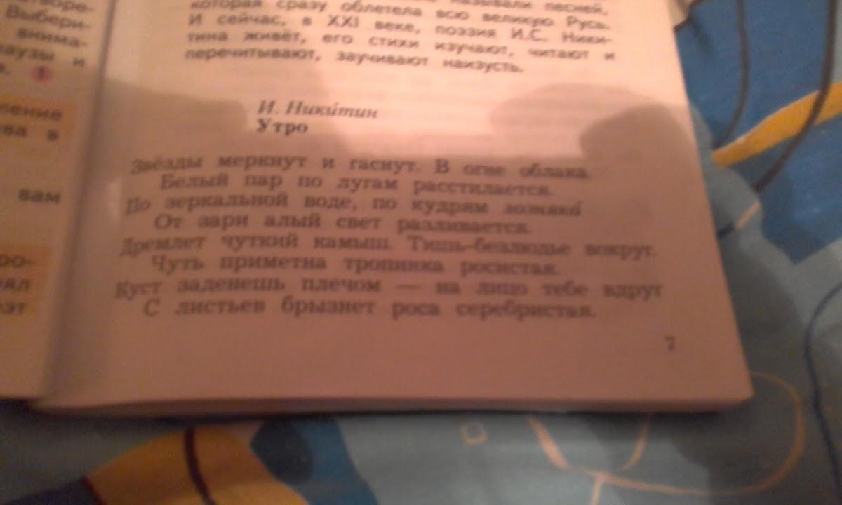 Амстердам меню
