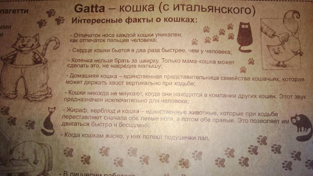 Lagatta меню